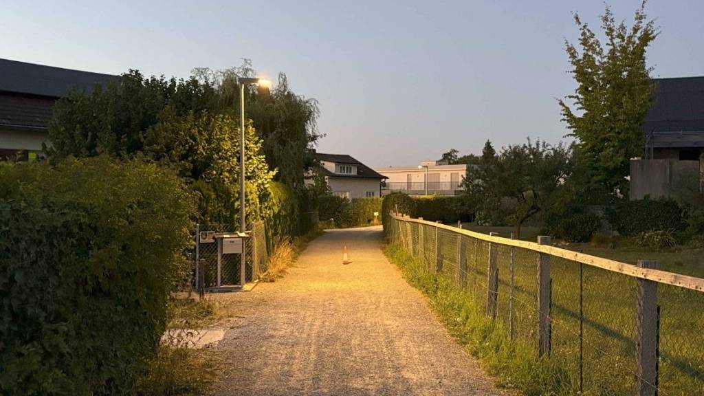 Die 55-Jährige stürzte auf einem Weg in Goldach SG.