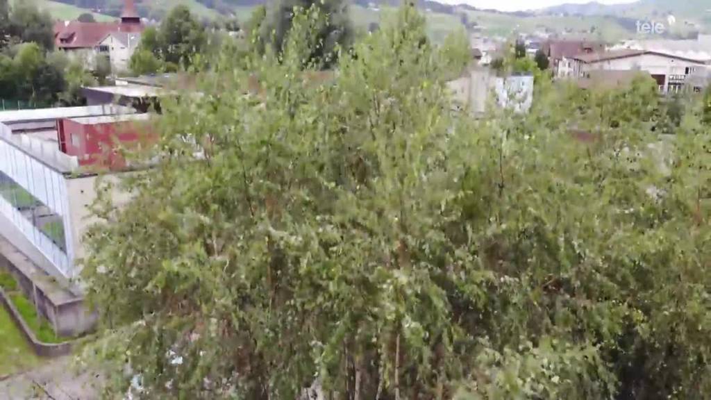 Vergessene Prunkstücke - Hallenbad Appenzell