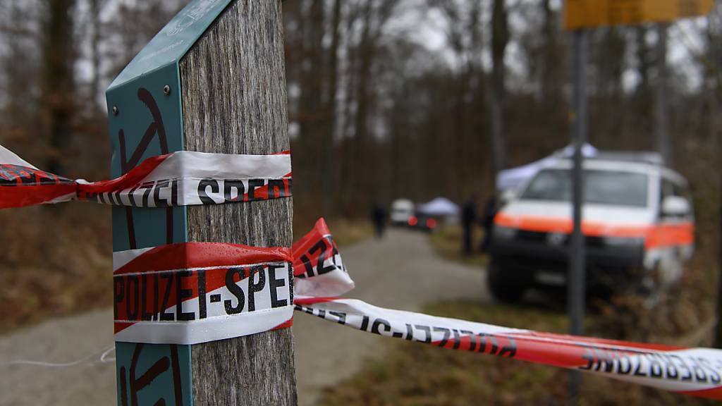 Am Freitag wurde eine Frau von Baumteilen erschlagen und erlag später im Spital ihren Verletzungen. Die Kantonspolizei Bern und die Regionale Staatsanwaltschaft Oberland ermitteln derzeit den Unfallhergang. (Symbolbild)