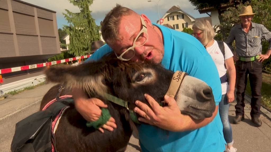 Zwei Esel im Aargau: Tag 3