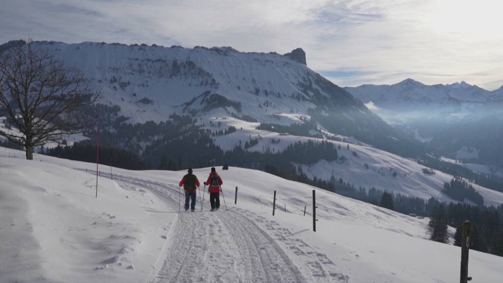 Winterwanderwege richtig preparieren