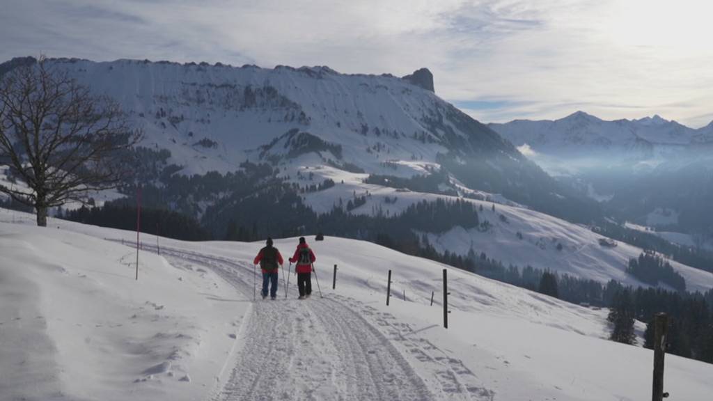 Winterwanderwege richtig preparieren