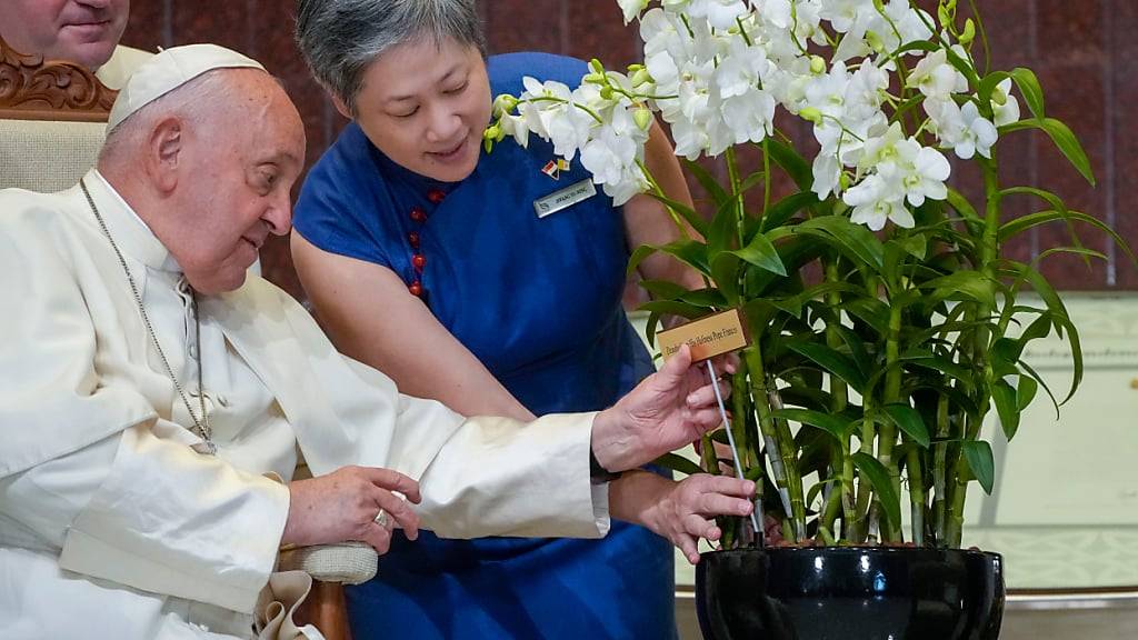 Hwang Yu-Ning, Chief Executive Officer des Singapore's National Parks Board, überreicht Papst Franziskus eine «Dendrobium His Holiness Pope Francis», eine speziell gezüchtete Orchideenart, die nach ihm benannt wurde. Foto: Gregorio Borgia/AP/dpa