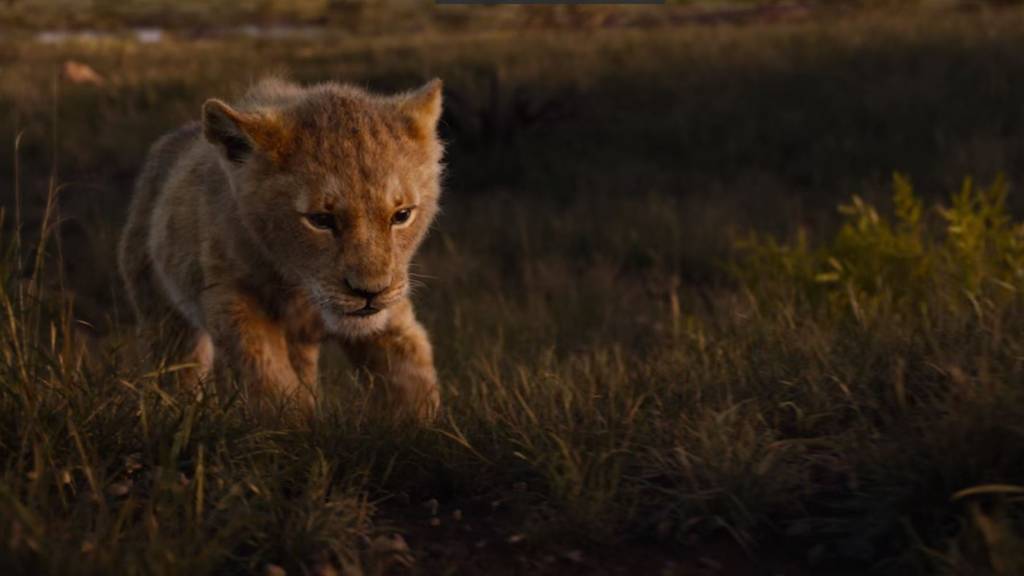 Der neue «König der Löwen»-Trailer ist da! 