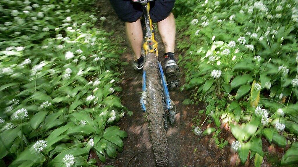 Mountainbiker auf einem Trampelpfad im Wald. (Archivbild)