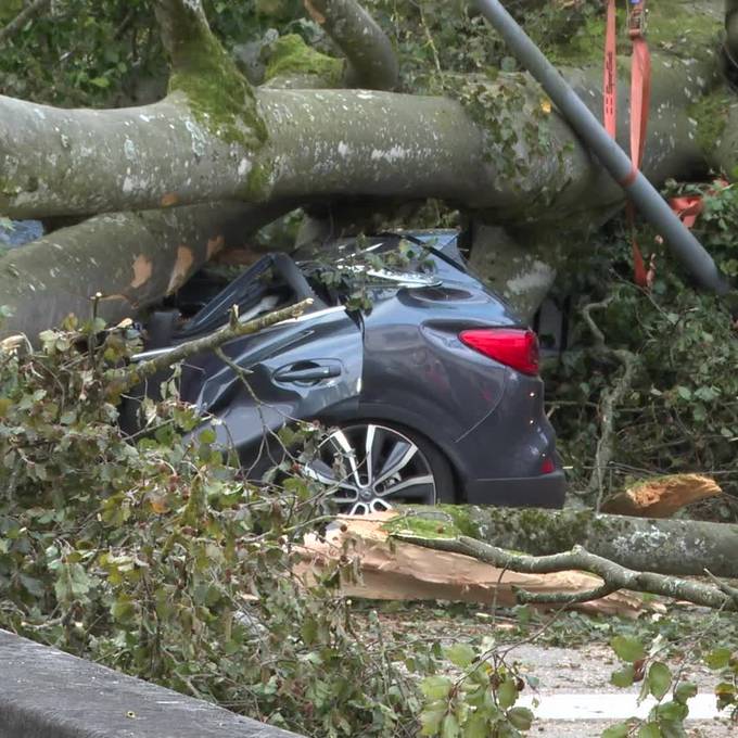Baum kracht in Burgdorf auf Auto – zwei Personen verletzt 