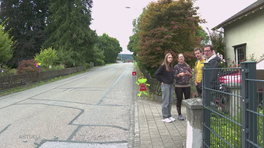 Nachbarn stellen Radar-Attrappe gegen Raser in Münchwilen auf