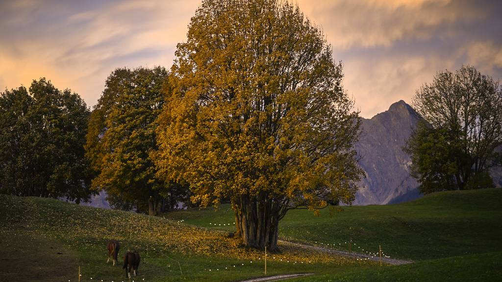 So schön zeigt sich die Schweiz im Herbst