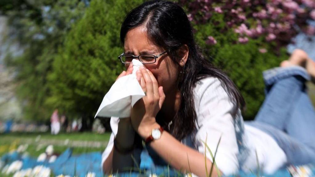 Durch ihre Einträge in ein «Allergietagebuch» können Allergiker selber zur schweizweit grösste Studie zu Pollenallergien beitragen. (Archivbild)