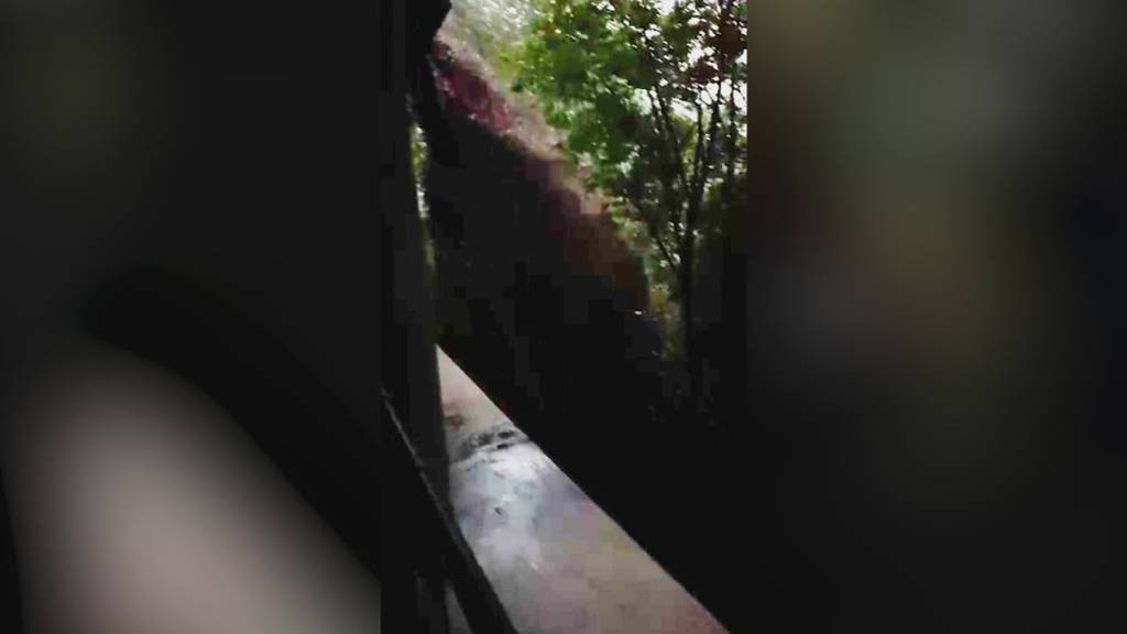 Gestrandete Touristen und abgeschottene Bewohner bei der Axenstrasse