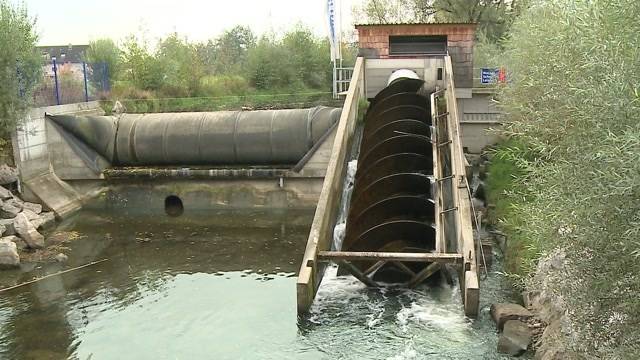 WWF gegen Suhre-Kleinkraftwerk