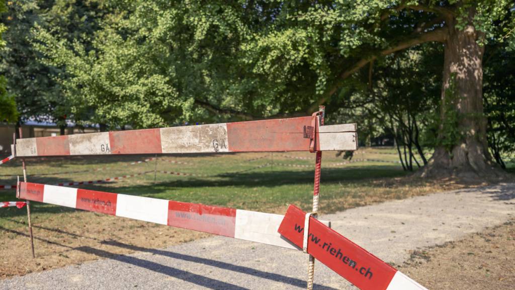 St. Galler Behörden warnen vor spontanen Abbrüchen von Ästen