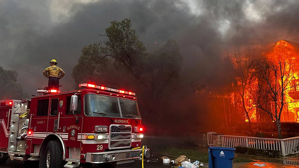 ARCHIV - Feuerwehrleute bekämpfen das Palisades-Feuer, das im Stadtteil Pacific Palisades in Los Angeles brennt. Foto: Eugene Garcia/AP/dpa/Archivbild