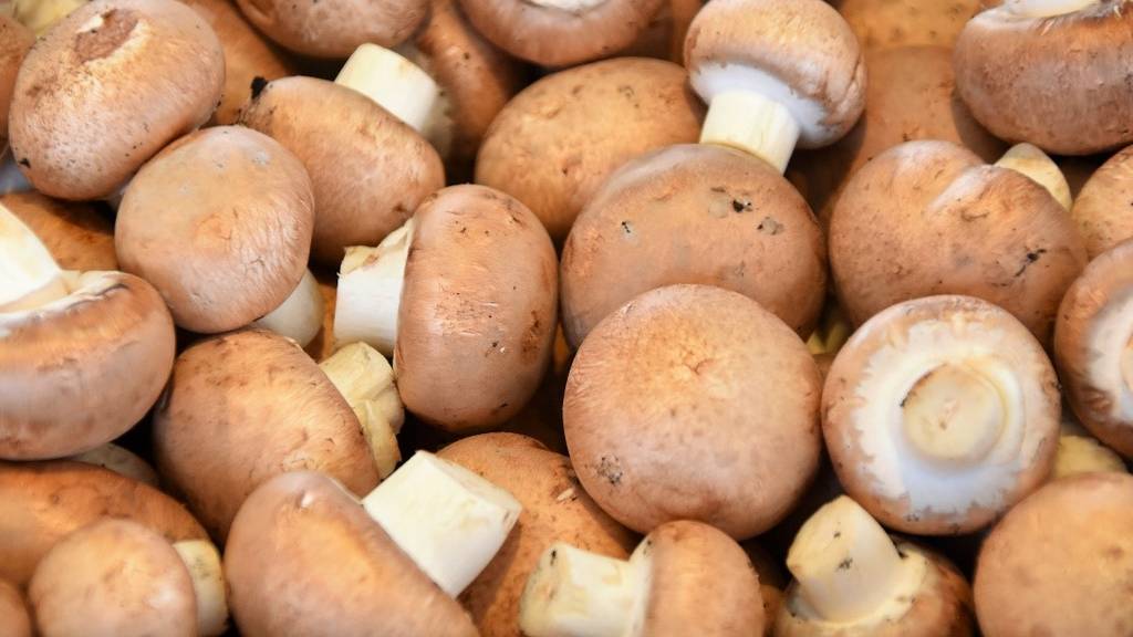 Champignons