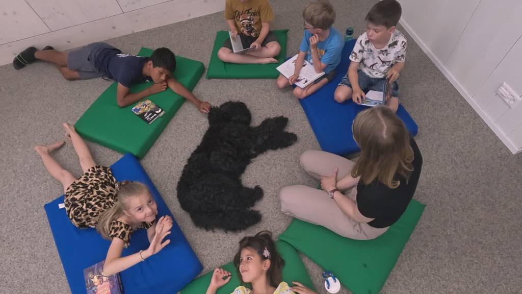 In der Regionalbibliothek Sursee soll ein Hund beim Lesen helfen