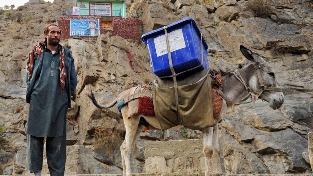 Ein afghanischer Wahlhelfer mit einer Urne auf einem Esel in der nördlichen Provinz Pandschir.