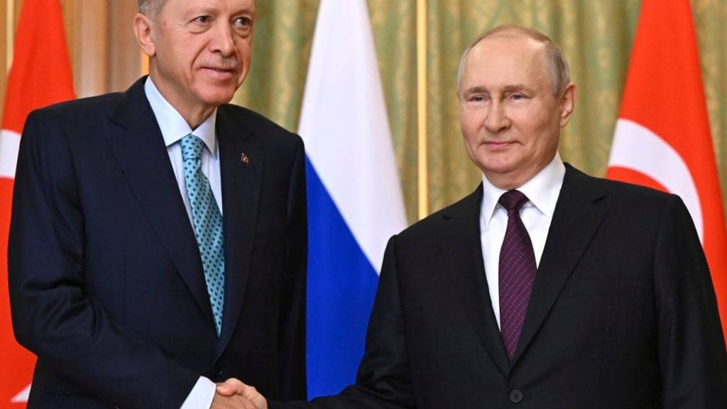 ARCHIV - Wladimir Putin und Recep Tayyip Erdogan. Foto: Sergei Guneyev/AP/dpa