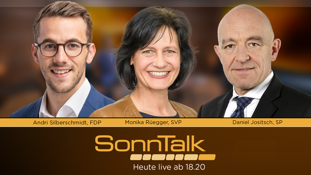 EU-Dossier, CS-PUK-Bericht und Zürcher Rottweiler-Verbot