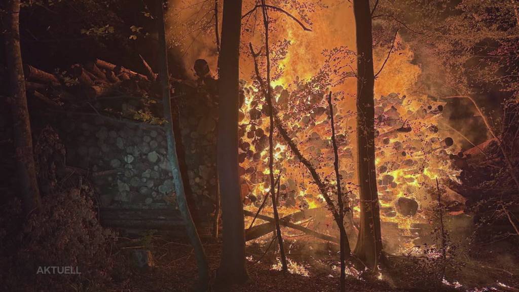 Feuerwehr kämpft in Baden mehrere Stunden gegen Flammen in Holzstapel