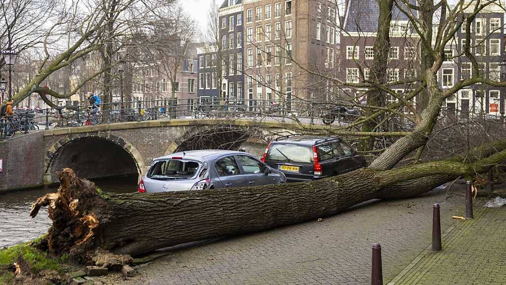 Ein Baum ist infolge des Sturms «Eunice» im Zentrum von Amsterdam umgestürzt. Foto: Ramon Van Flymen/ANP/dpa