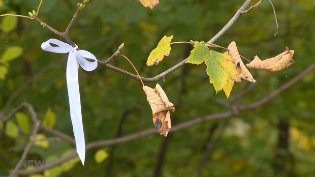 Vergewaltiger von Emmen bleibt auf freiem Fuss