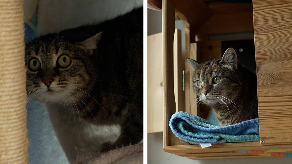 Maira und Fenja