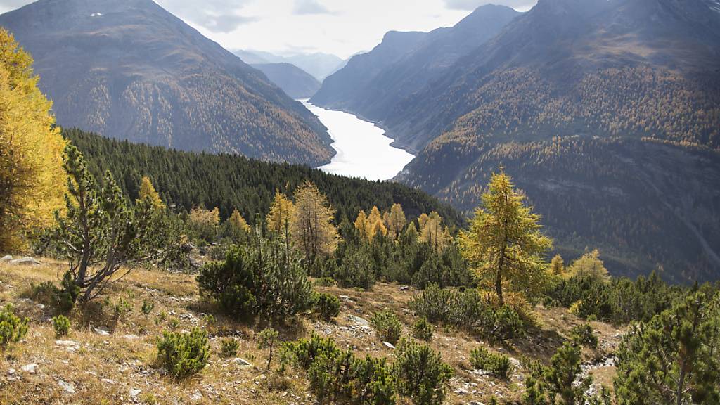 Je höher man in Graubünden wandert, desto besser ist die Biodiversität - also die Artenvielfalt, die Lebensräume und die Vernetzung untereinander. Besonders in den Talböden und rund um Gewässer bestehen grosse Defizite. (Archivbild)