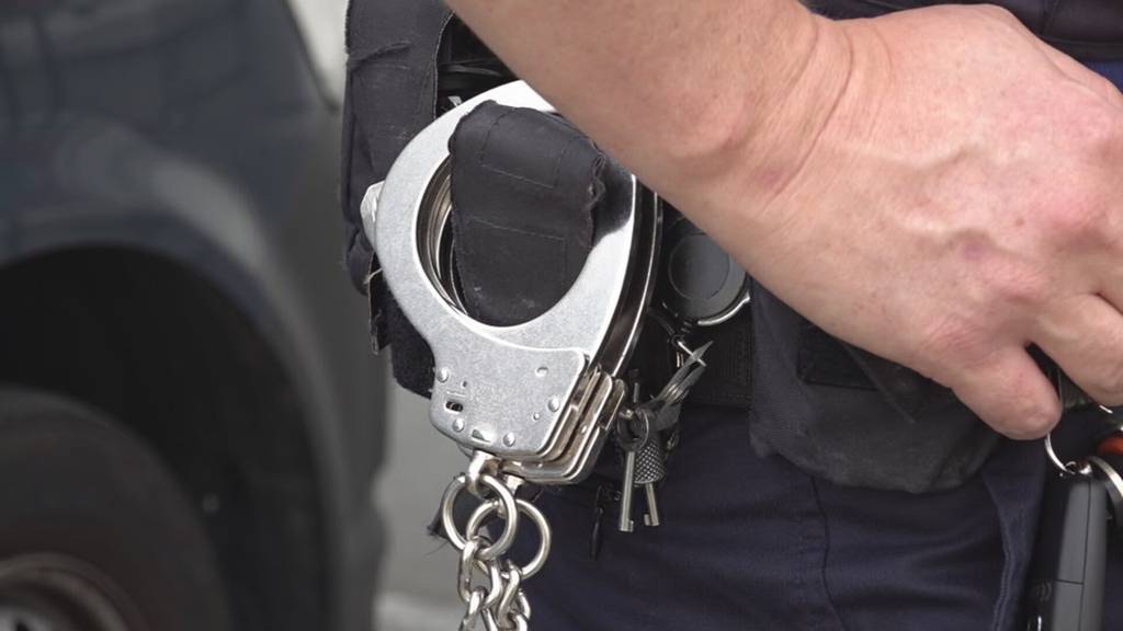 Spucken, Schläge und Beleidigungen: Polizeigewalt nimmt zu