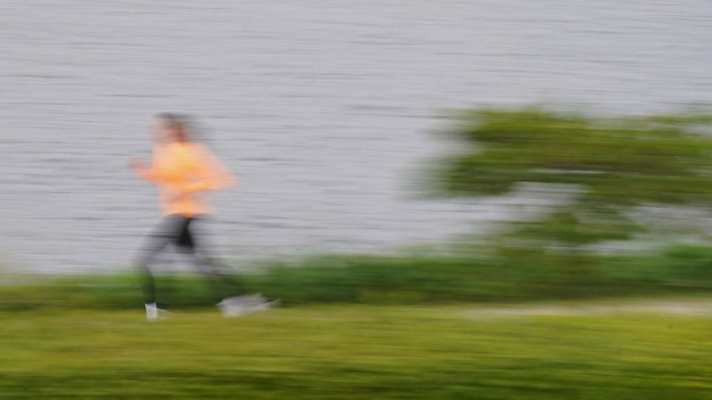 ARCHIV - Symbolbild. In Österreich ist eine Frau beim Joggen von einem Hund zu Tode gebissen worden. Foto: Marcus Brandt/dpa