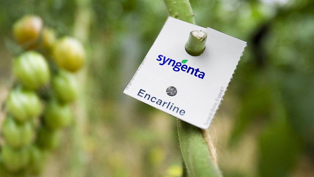 Der Basler Agrochemiekonzern Syngenta ist verhalten ins Geschäftsjahr 2017 gestartet. (Archiv)