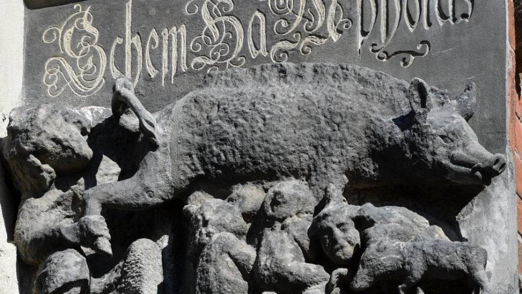Eine als «Judensau» bezeichnete mittelalterliche Schmähskulptur an der Aussenwand der Stadtkirche Sankt Marien in Wittenberg soll entfernt werden, fordert eine internationale Petition. (Archivbild)