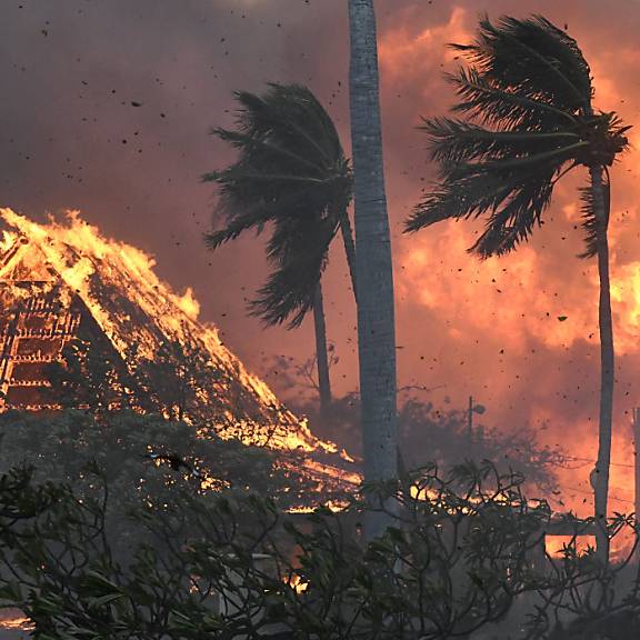 Feuersturm auf Hawaii-Insel fordert mindestens 36 Todesopfer