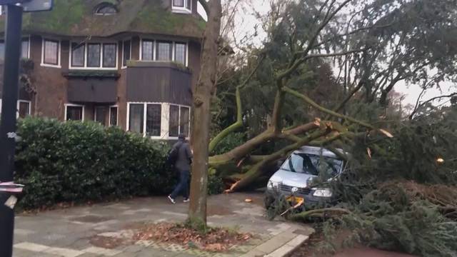 Sturm `Friederike` fordert Tote