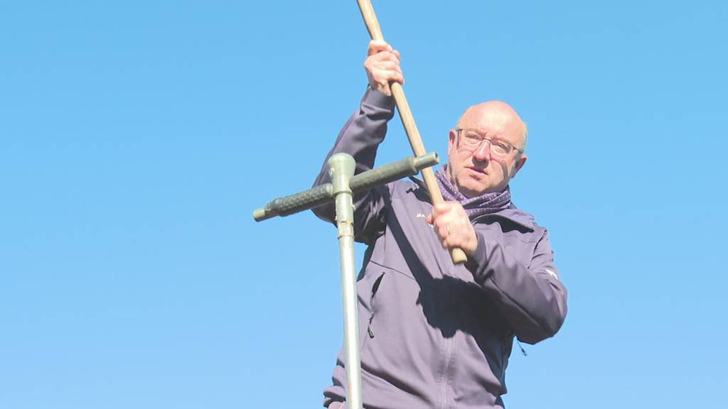 Wichtiges Ökosystem: Moor oberhalb von Mels muss saniert werden