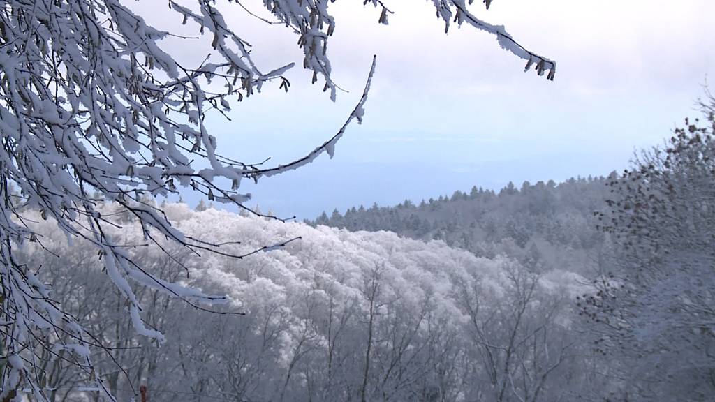 Erste Schneeflocken erreichen das Flachland