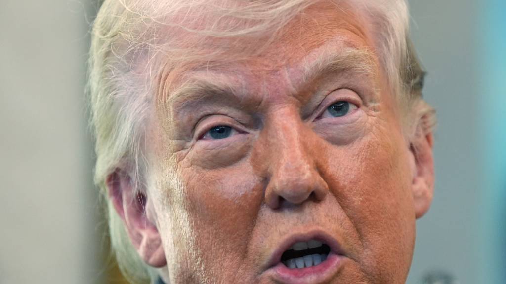US-Präsident Donald Trump spricht im Oval Office des Weißen Hauses. Foto: Alex Brandon/AP/dpa