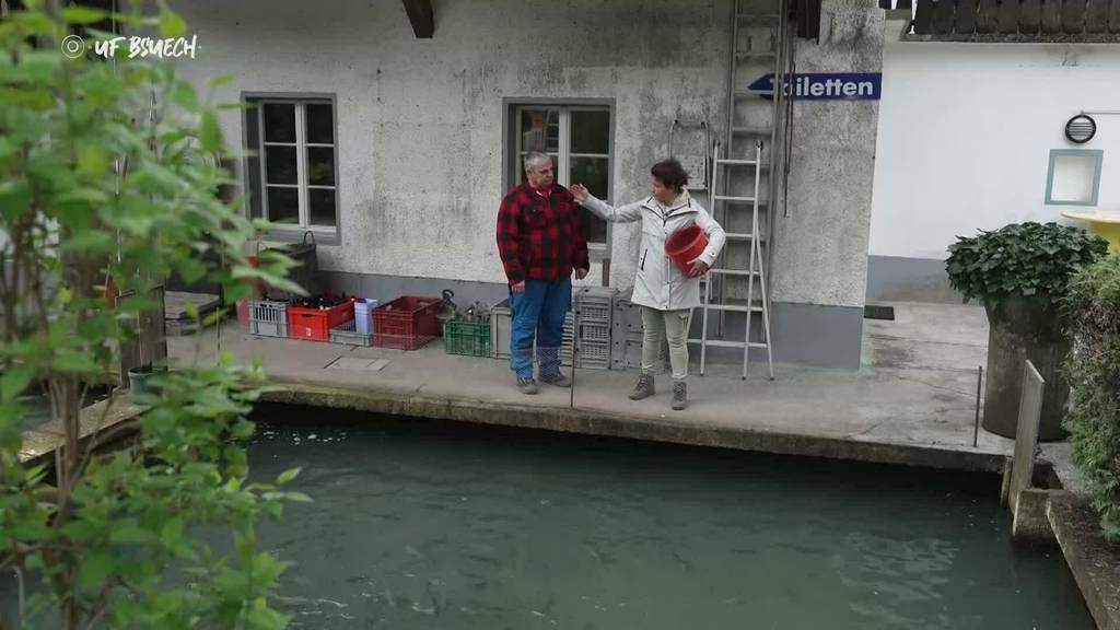 Uf Bsuech - Rheinsulz Fischergut