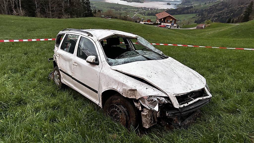 Auto stürzt in Goldau SZ Hang hinunter - Lenker schwer verletzt