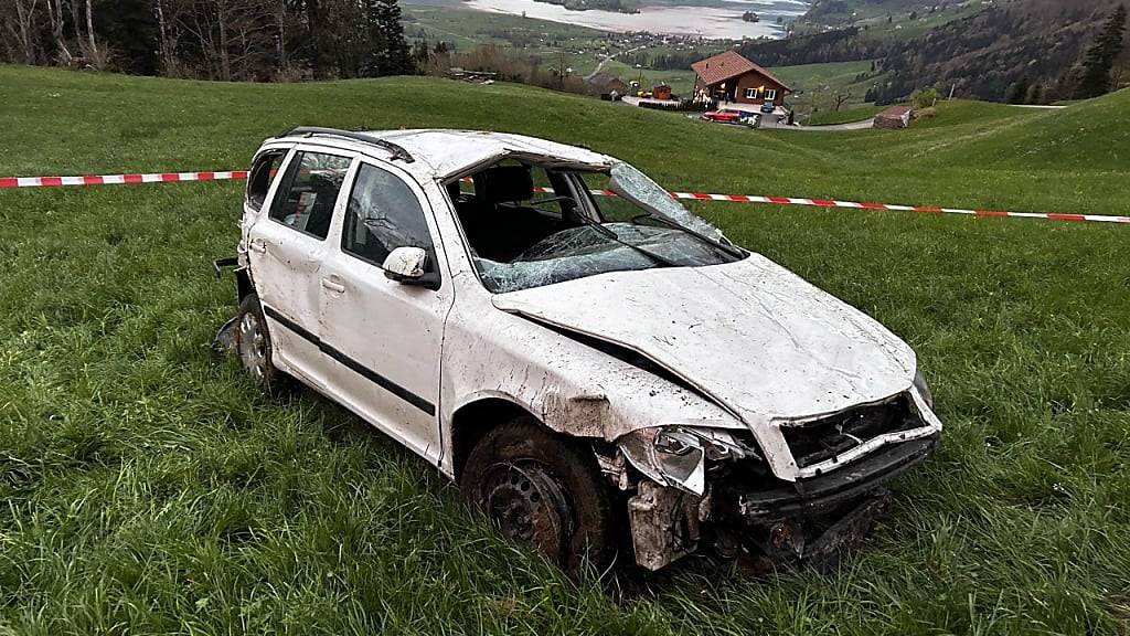 Der Lenker dieses Autos wurde schwer verletzt.