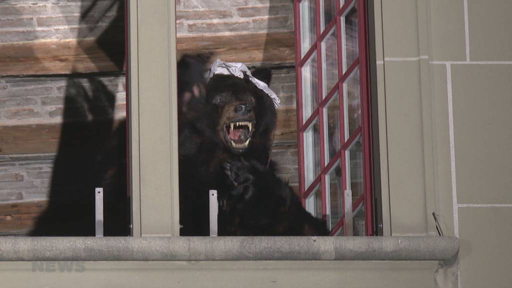 Fasnachtsbär ist aus dem Winterschlaf erwacht