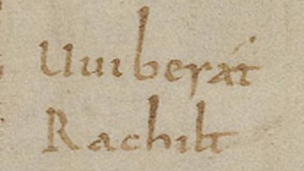 Vor mehr als 1100 Jahren schrieb Wiborada ihren Namen in das Gedenkbuch des Klosters Reichenau D. Nun wurde ihre Unterschrift unter 38'000 Einträgen gefunden.