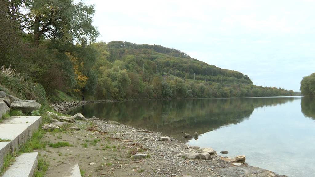 Grausiger Fund im Rhein: Fussgänger stossen auf Leiche – Polizei sucht Zeugen