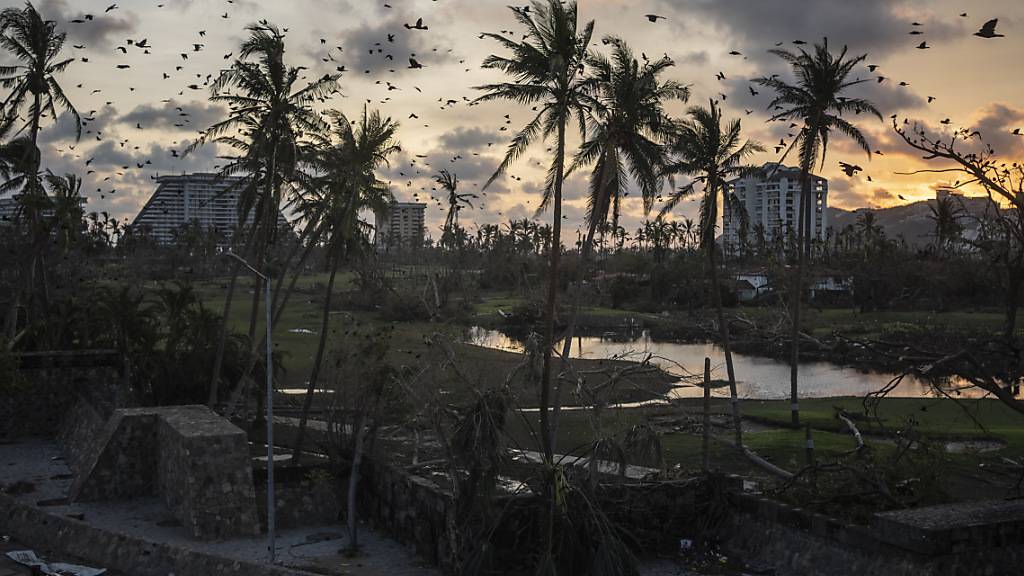 Vögel fliegen nach dem Hurrikan «Otis» über den Trümmern der zerstörten Häuser in Acapulco in Mexiko. Foto: Felix Marquez/AP