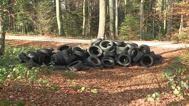 150 Pneus illegal in Wald entsorgt