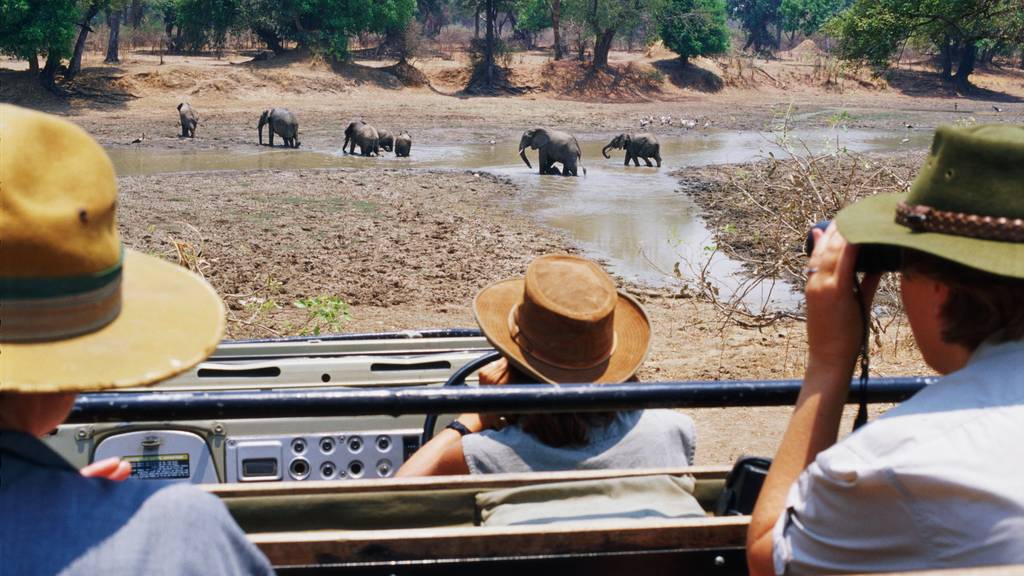 Wer auf Safari gehen möchte, sollte Sambia als Reiseziel berücksichtigen.