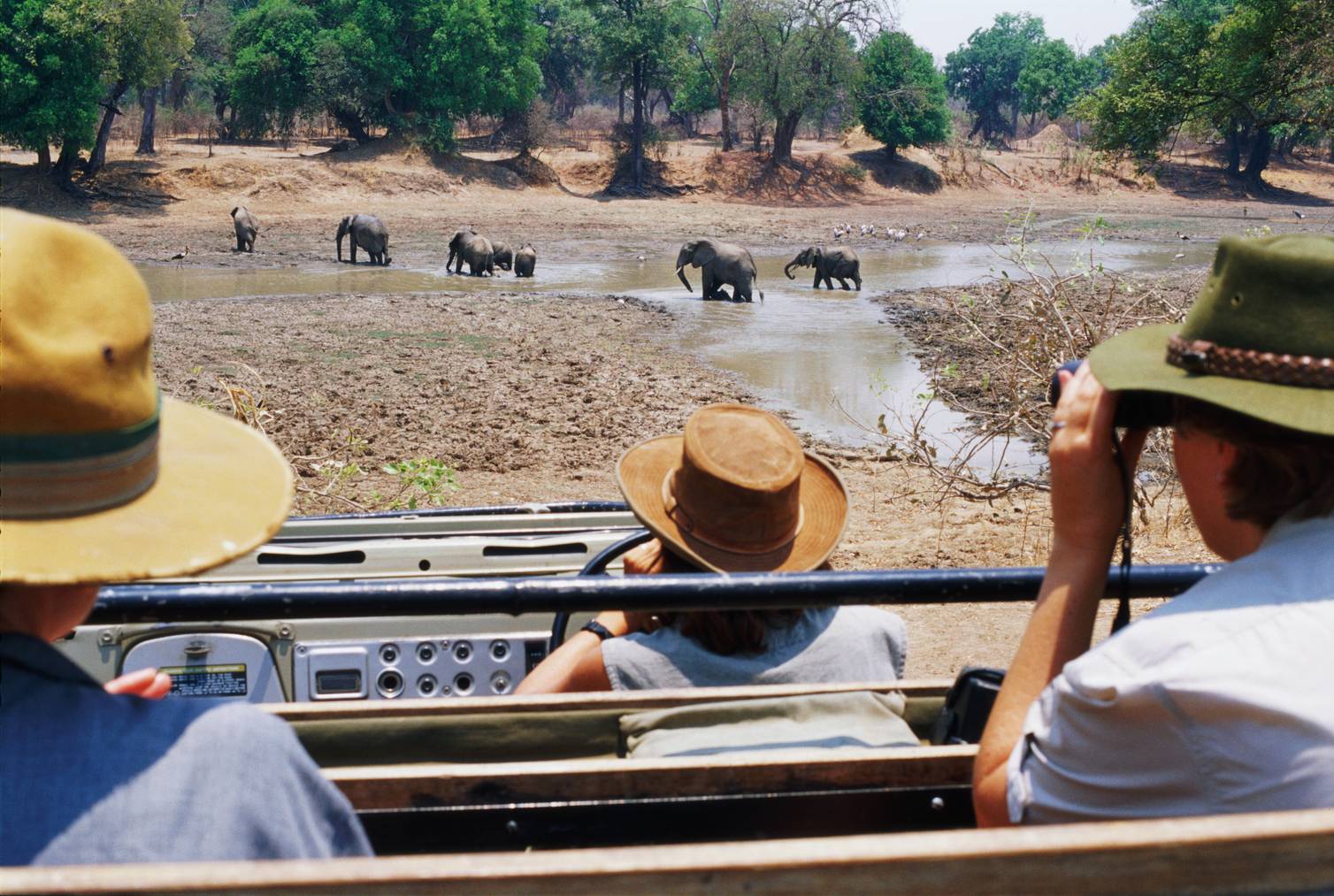 Wer auf Safari gehen möchte, sollte Sambia als Reiseziel berücksichtigen.