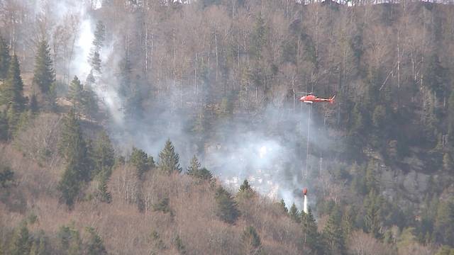 Wie viel kostet ein Waldbrand?