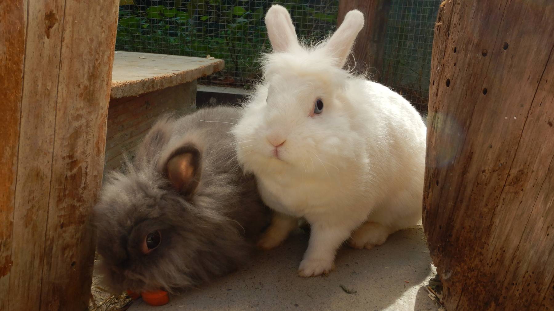 Sadie und Mathilda