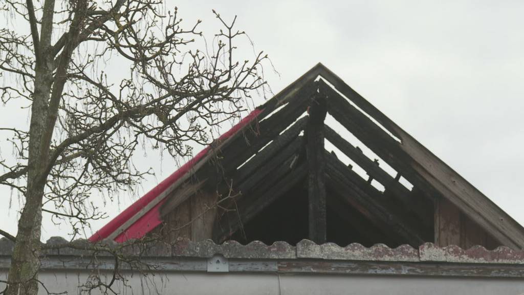 Hat es jemand auf den Horst-Club abgesehen?