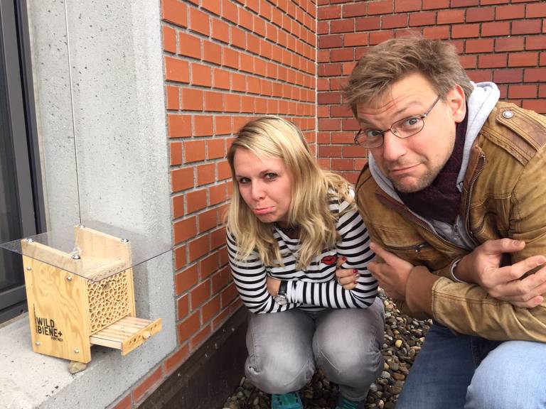 Nicht nur unsere Bienli haben zu kalt